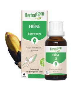 Frêne (Fraxinus excelsior) bourgeon BIO, 30 ml